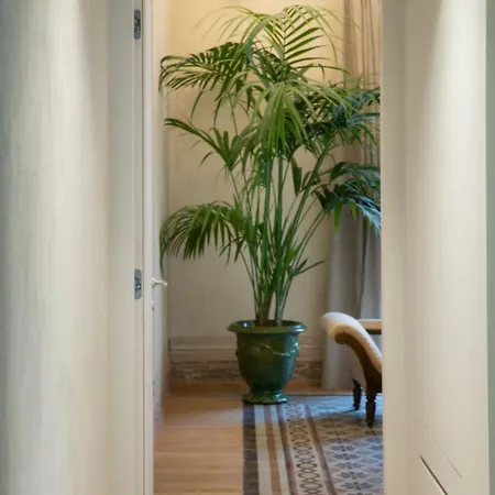 Lejlighed Gilded Age Luxury Dream Historic Center *